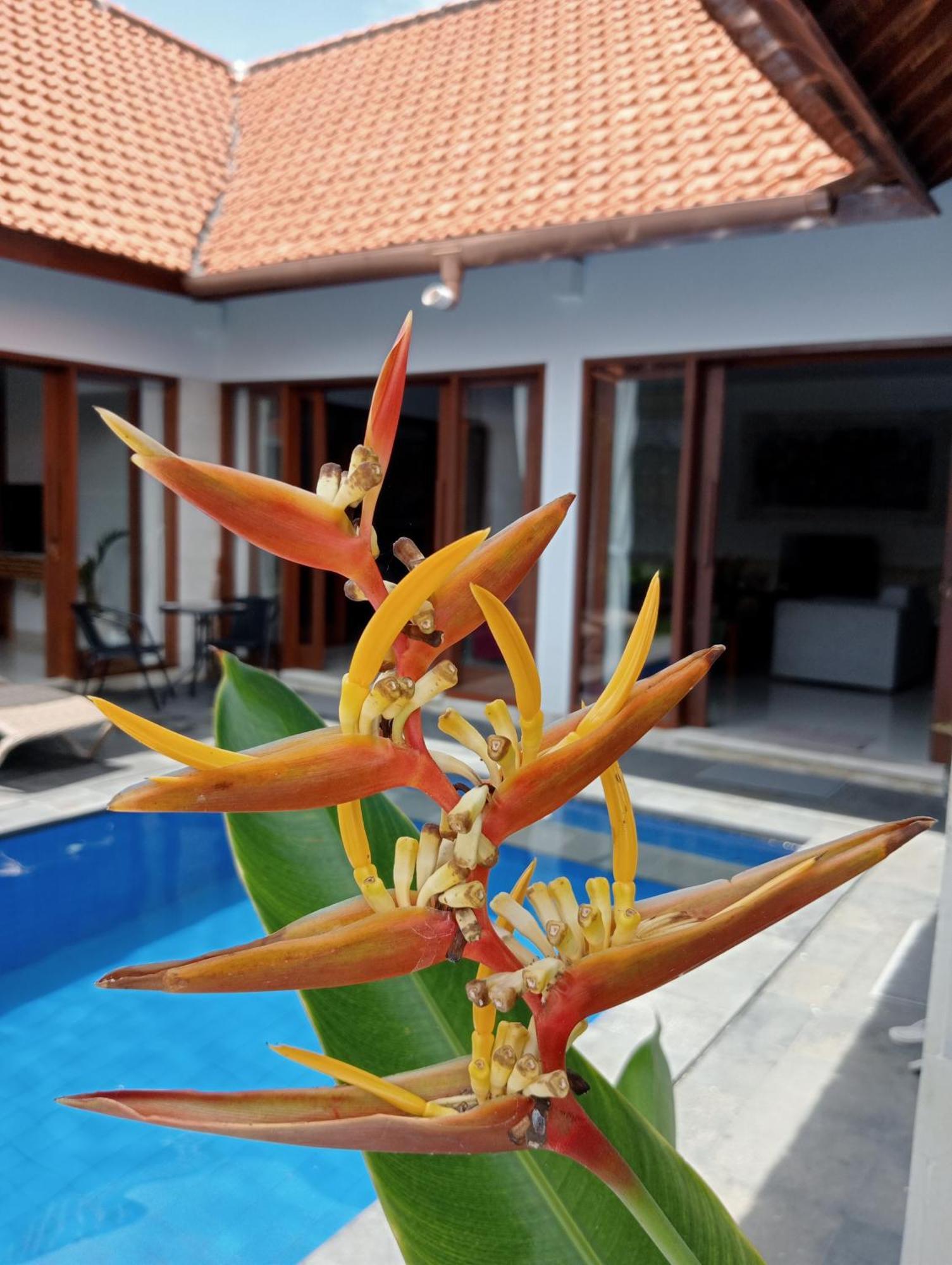 Pondok Indah Villa Ujung 外观 照片